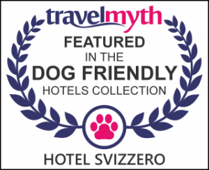 Travel with dog