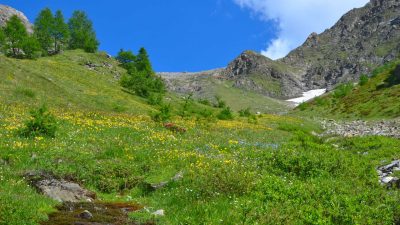 Baita del Currù, foto 5 – Hotel Chalet Svizzero, Courmayeur