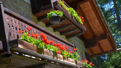 Jardin au Val Ferret, photo 2 – Hôtel Chalet Svizzero, Courmayeur